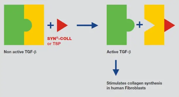 Palmitoyl Tripeptide-5