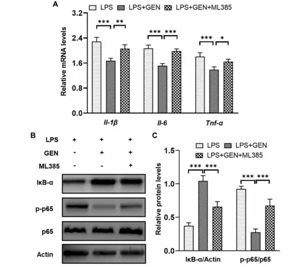 Geniposide Powder Geniposide Powder