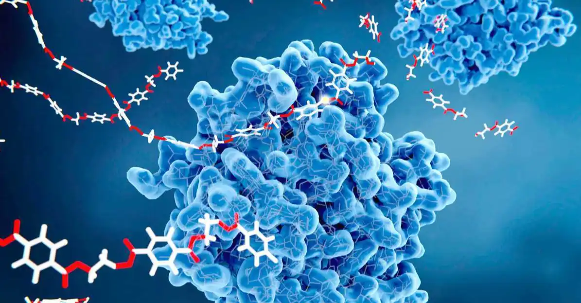 Serrapeptase