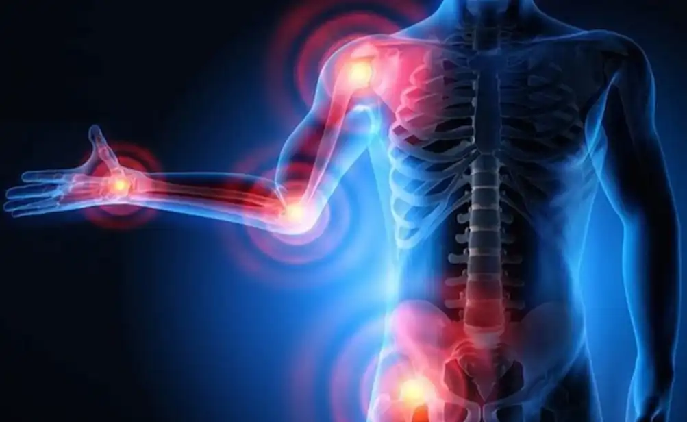 Serrapeptase Serrapeptase