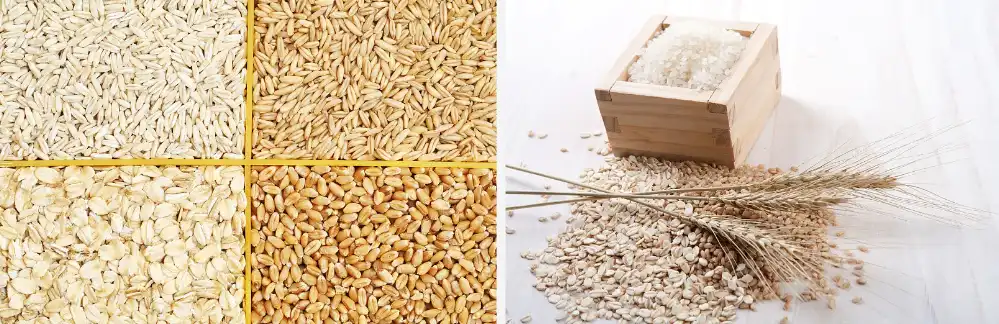 Beta Glucan 1,3 Powder Beta Glucan 1,3 Powder