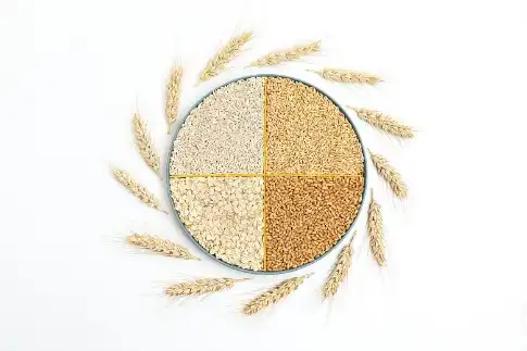 Beta Glucan 1,3 Powder Beta Glucan 1,3 Powder