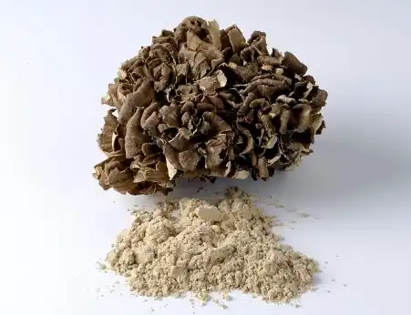 Organic Grifola powder