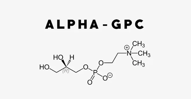 Bulk Alpha GPC Powder