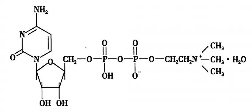 Citicoline powder