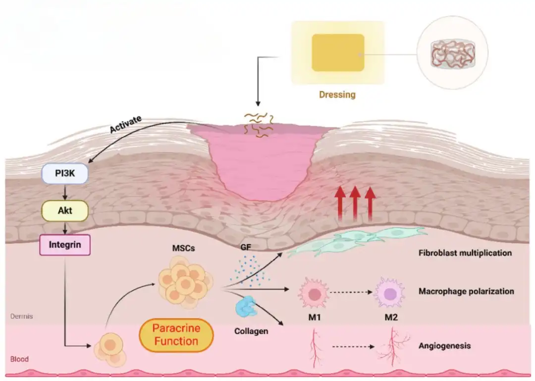 Fibroin