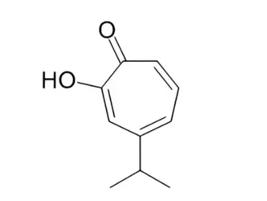 Hinokitiol Powder