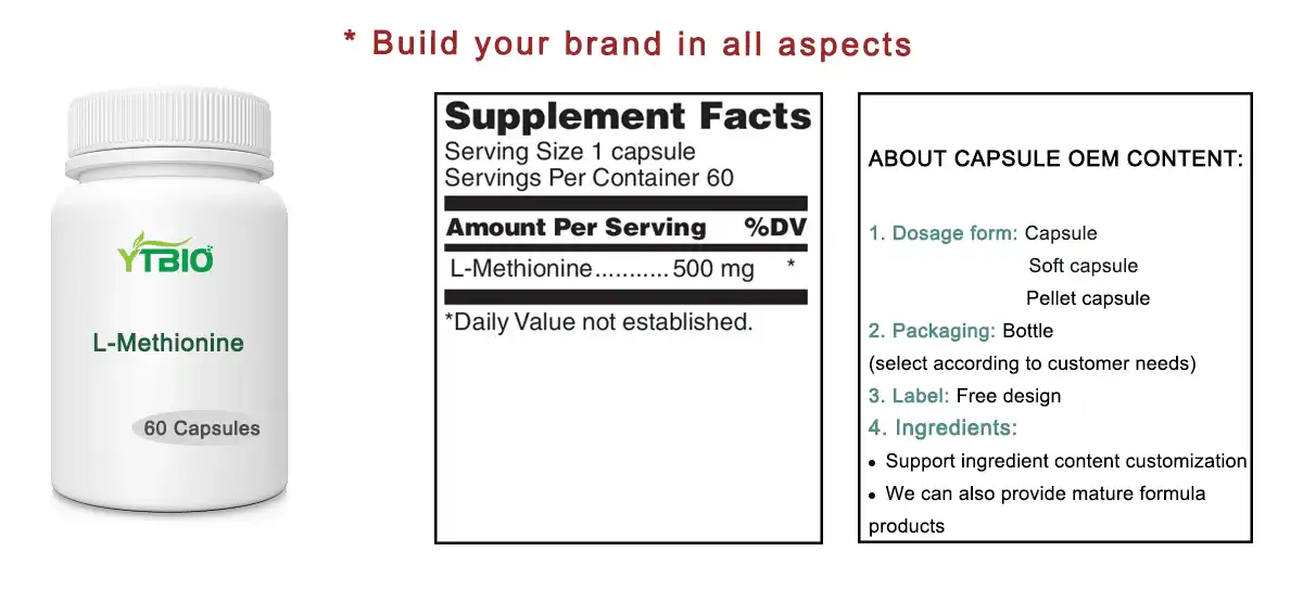 Bulk L-Methionine Powder