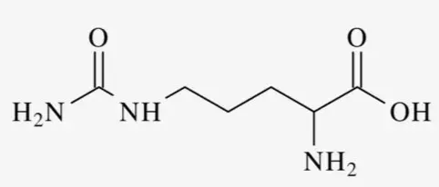 Bulk L-Citrulline Powder