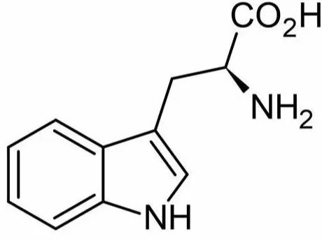 Bulk L-Tryptophan Powder