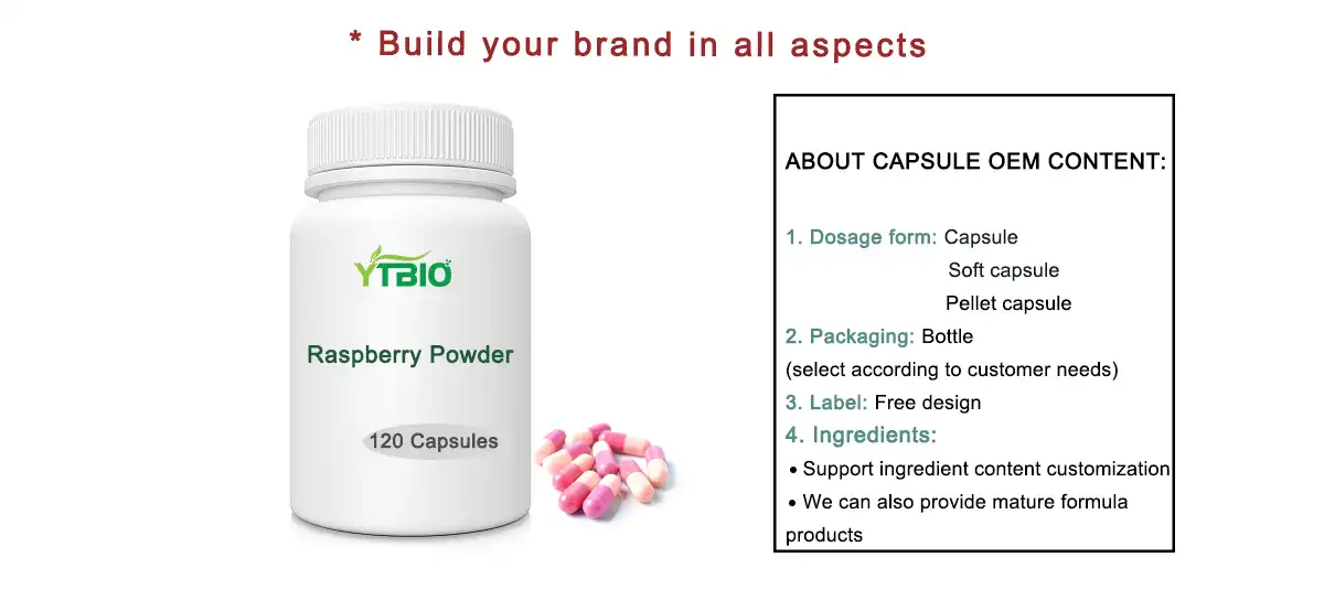 Raspberry Powder Bulk