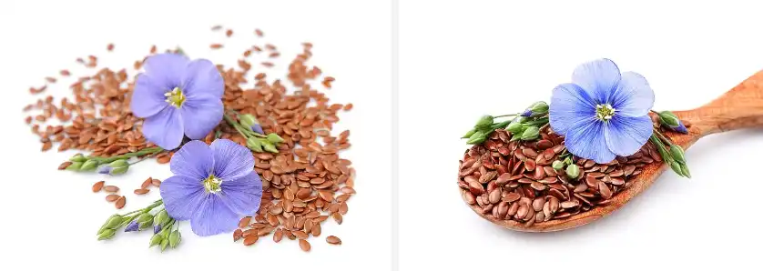 Flaxseed extract powder