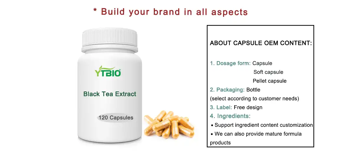 Black Tea Extract Powder