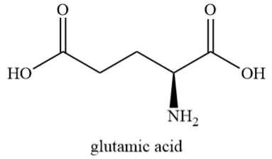 Glutamic acid powder