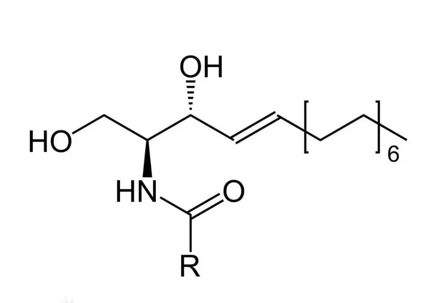 Ceramide powder