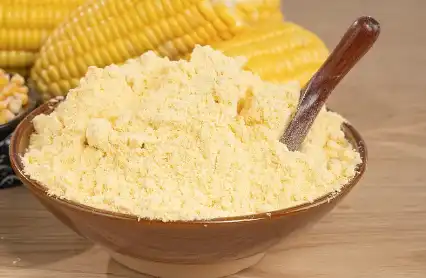 Bulk Corn gluten meal