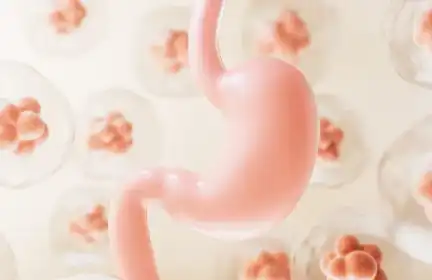 Artichoke extract powder Artichoke extract powder