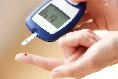 Lotus Seed Extract Lotus Seed Extract