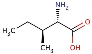 L-Isoleucine Powder