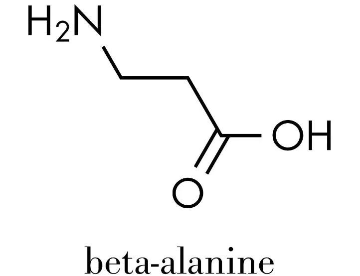 Bulk Beta-Alanine Powder