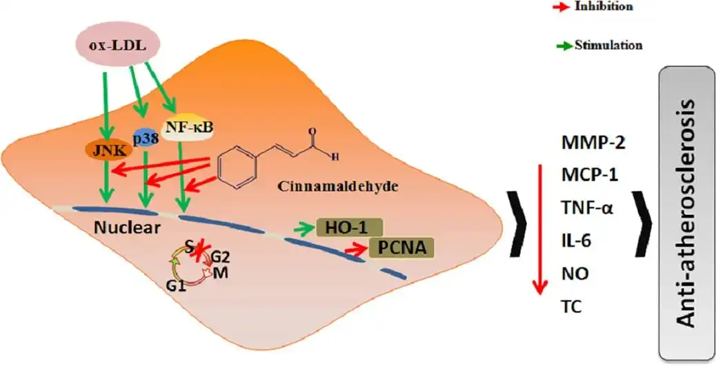 Cinnamic aldehyde