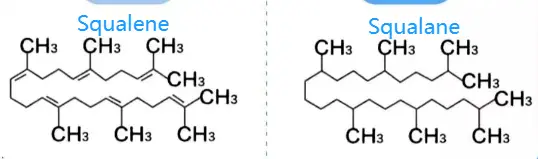 Bulk Squalane Oil