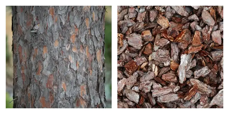 product-1-1 product-1-1