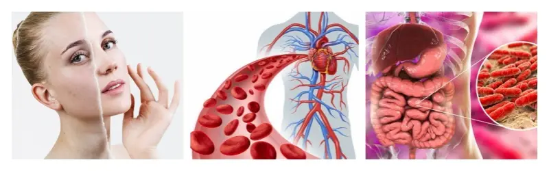 product-1-1 product-1-1