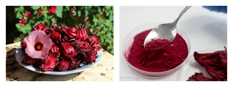 product-1-1 product-1-1