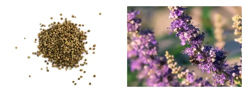 product-1-1 product-1-1