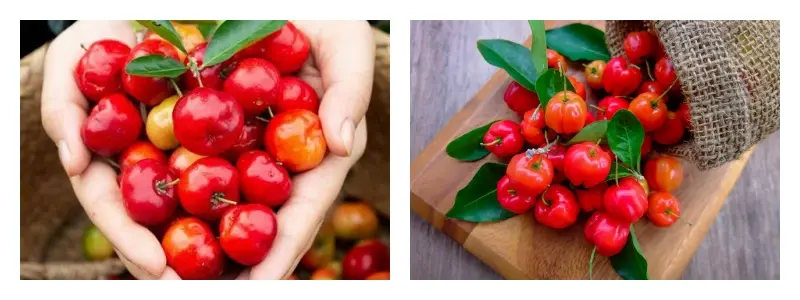 product-1-1 product-1-1