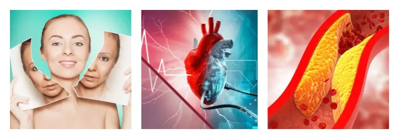 product-1-1 product-1-1