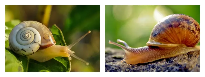 product-1-1 product-1-1