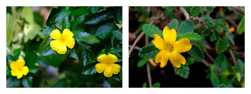 product-1-1 product-1-1