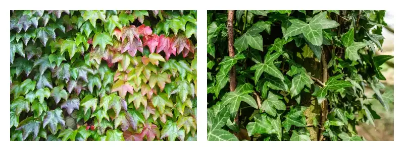 product-1-1 product-1-1