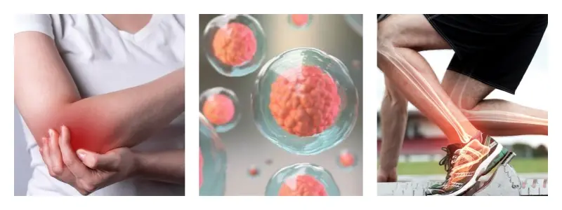 product-1-1 product-1-1