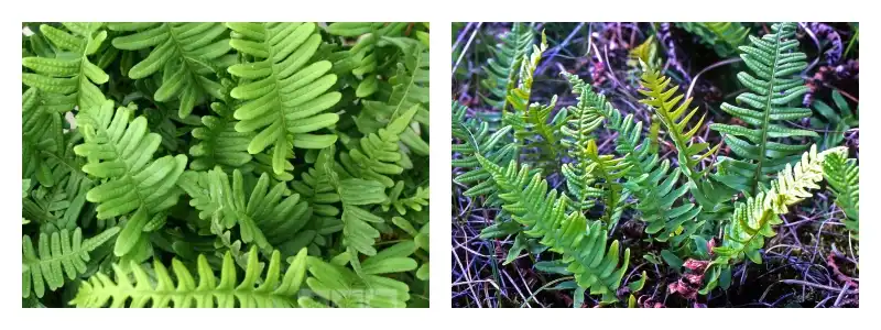 product-1-1 product-1-1