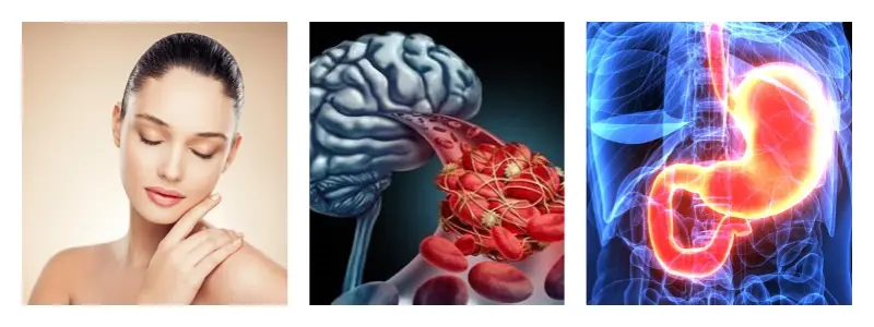 product-1-1 product-1-1