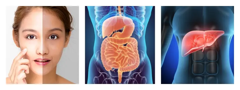 product-1-1 product-1-1