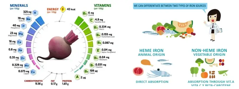 Bulk Beetroot Juice Powder Bulk Beetroot Juice Powder