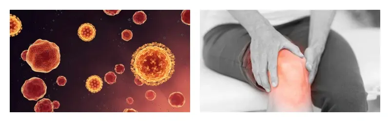 product-1-1 product-1-1