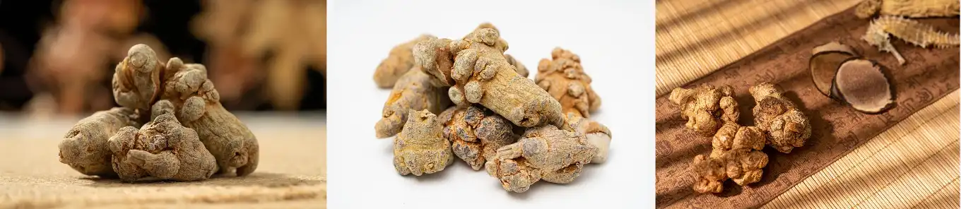 Panax notoginseng extract 