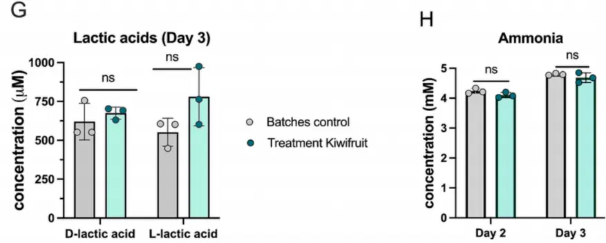 Bulk kiwi powder