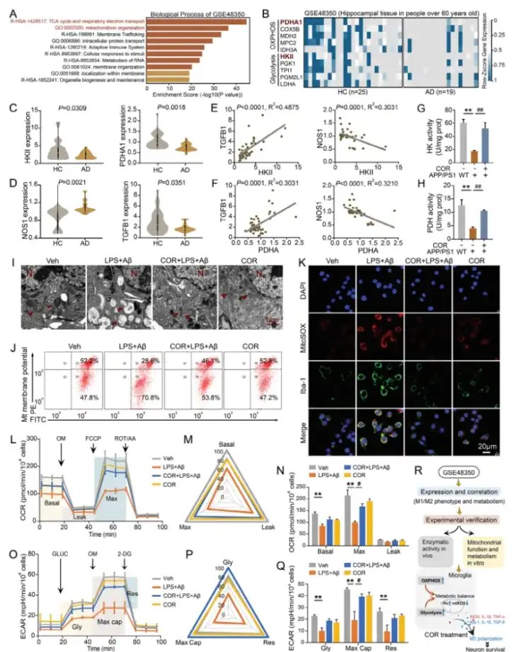 cordycepin powder cordycepin powder