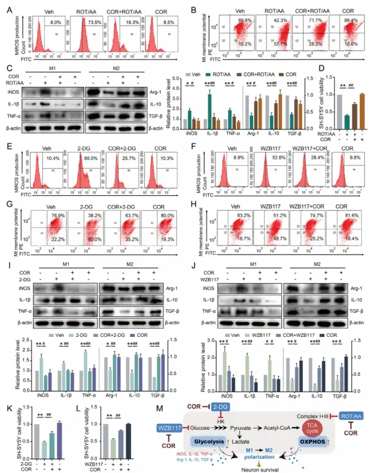 cordycepin powder cordycepin powder