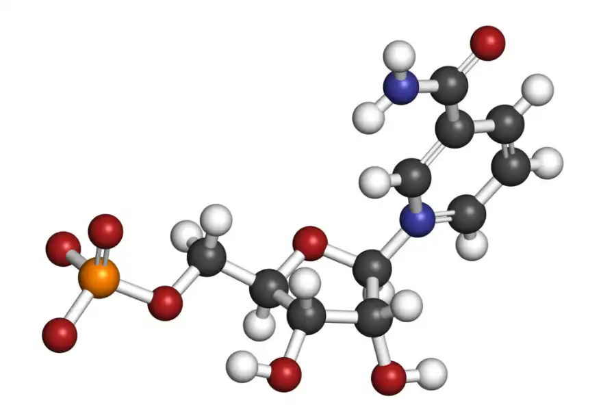 NMN Liposome