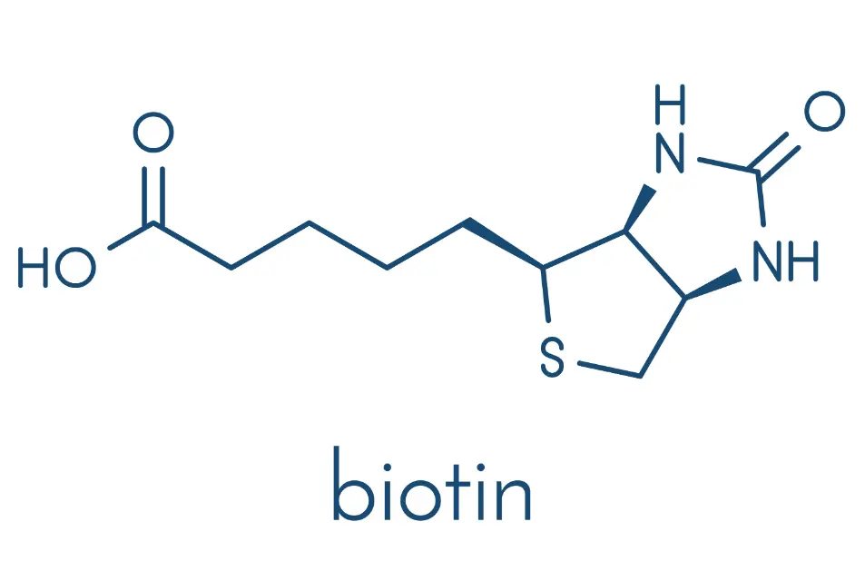 Liposomal Biotin