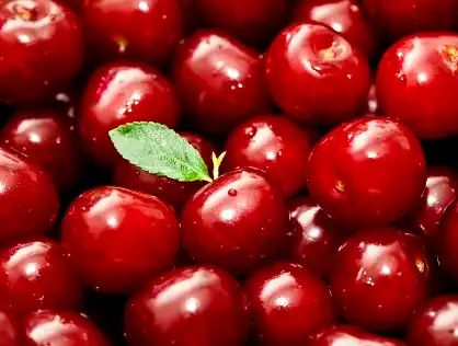 Tart Cherry Powder