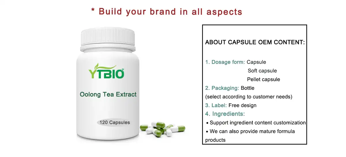 Oolong Tea Extract Powder