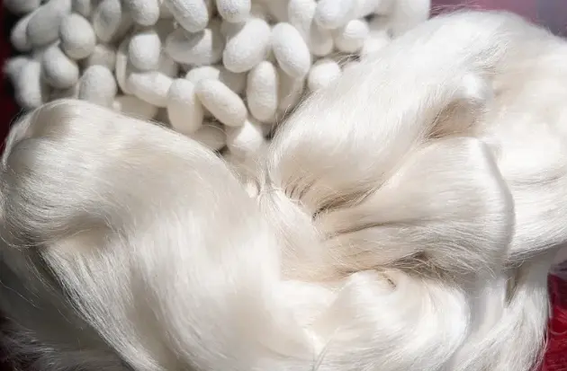 Fibroin Powder Fibroin Powder